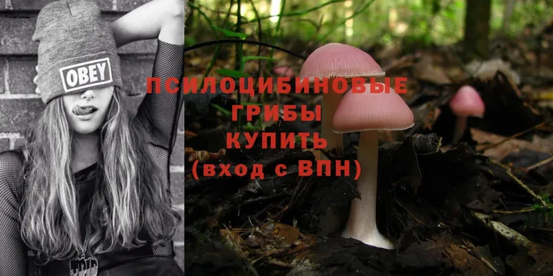 Псилоцибиновые грибы Psilocybe  blacksprut ONION  Армянск 